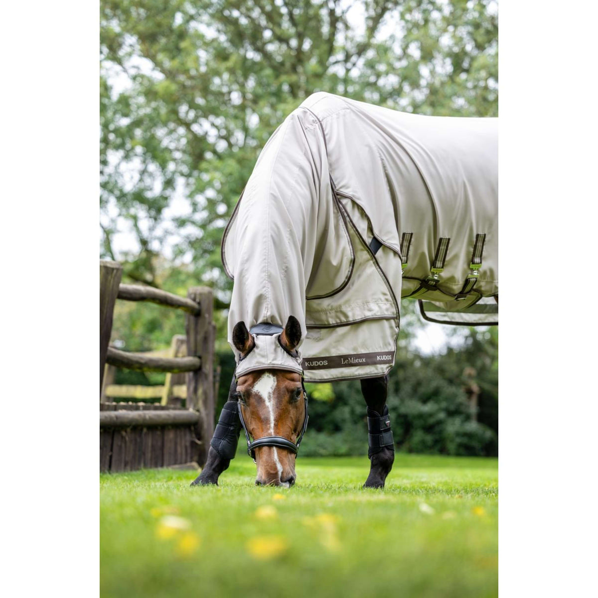 LeMieux Couverture Anti-Eczema Kudos Sweet Itch SS26 Pierre