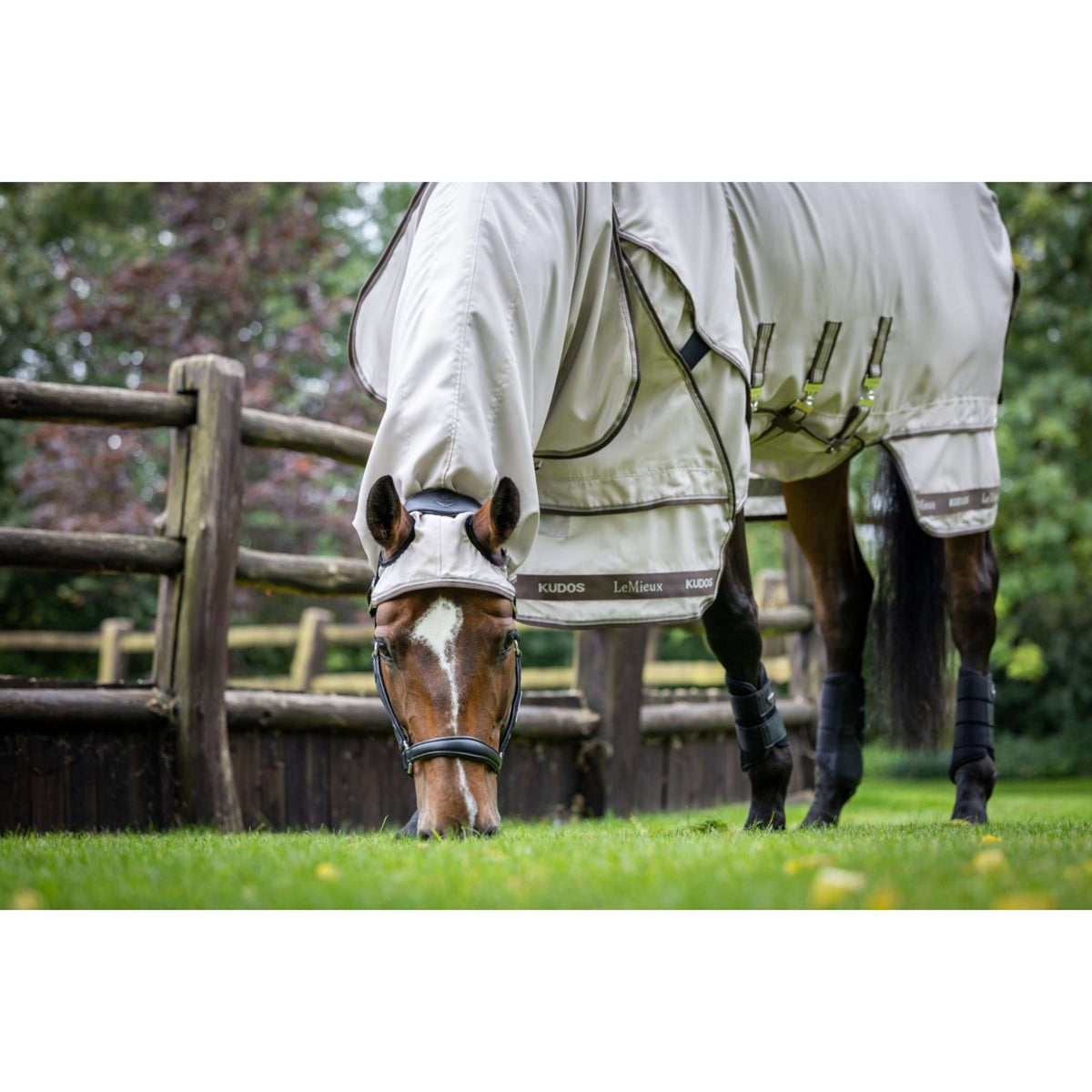 LeMieux Couverture Anti-Eczema Kudos Sweet Itch SS26 Pierre
