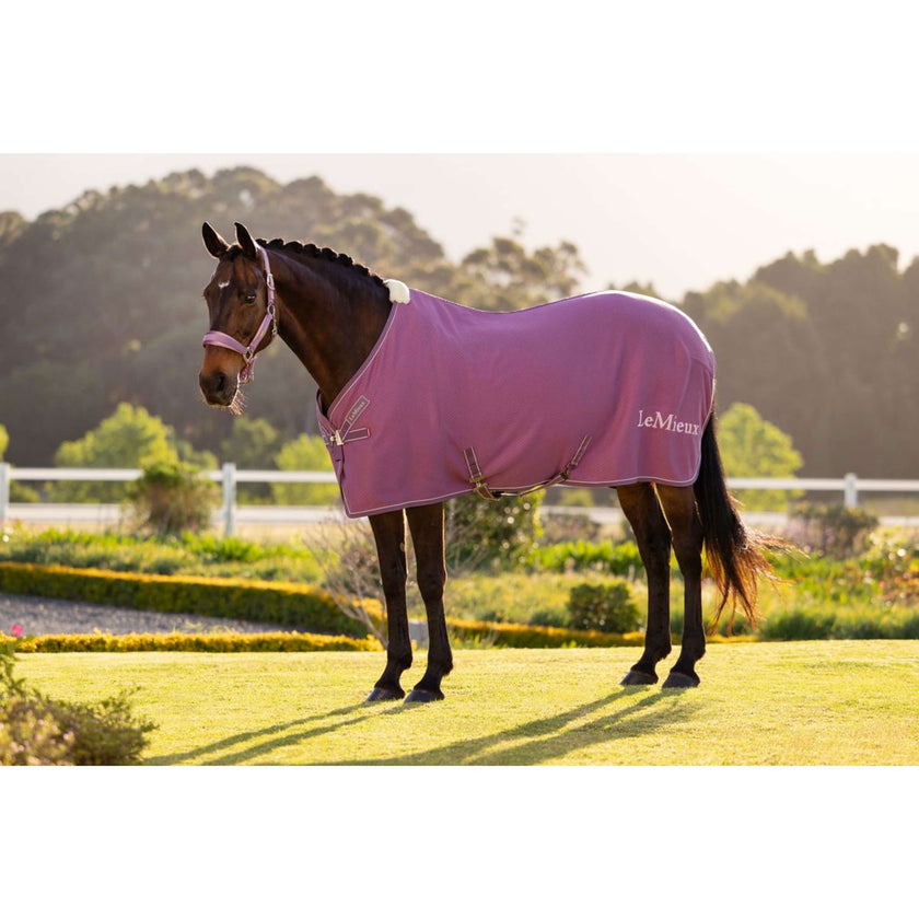 LeMieux Chemise Rafraîchissante Kudos Bamboo Mallow LeMieux Chemise Rafraîchissante Kudos Bamboo Mallow
