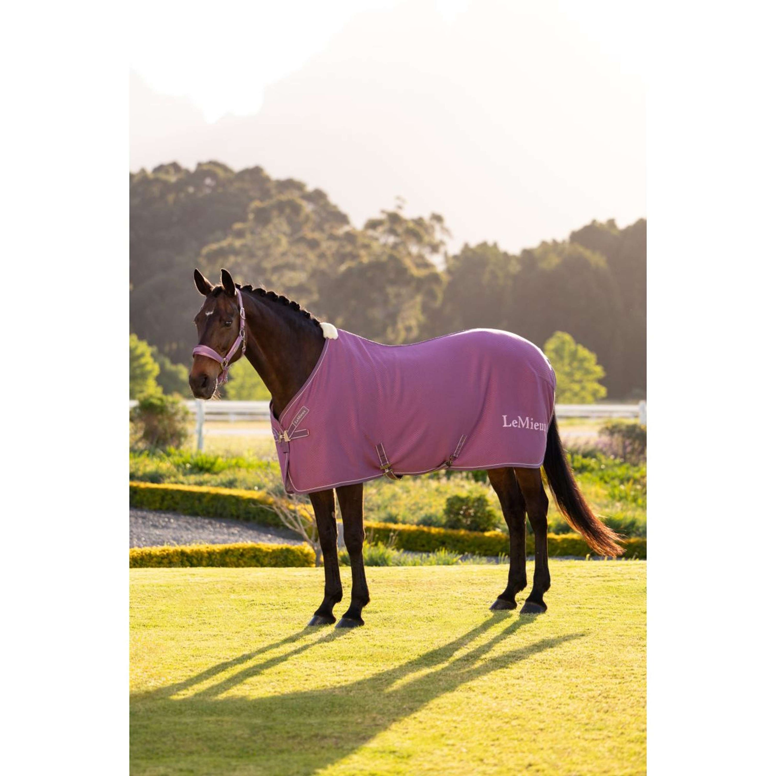 LeMieux Chemise Rafraîchissante Kudos Bamboo Mallow LeMieux Chemise Rafraîchissante Kudos Bamboo Mallow