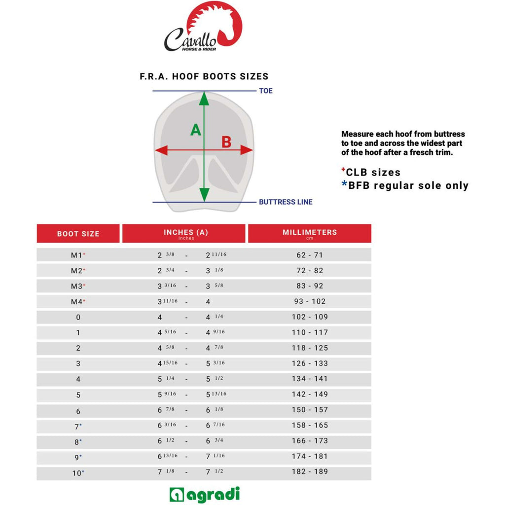 F.R.A. Cavallo Horse & Rider Chaussures pour Cheval CLB SLIM Bling