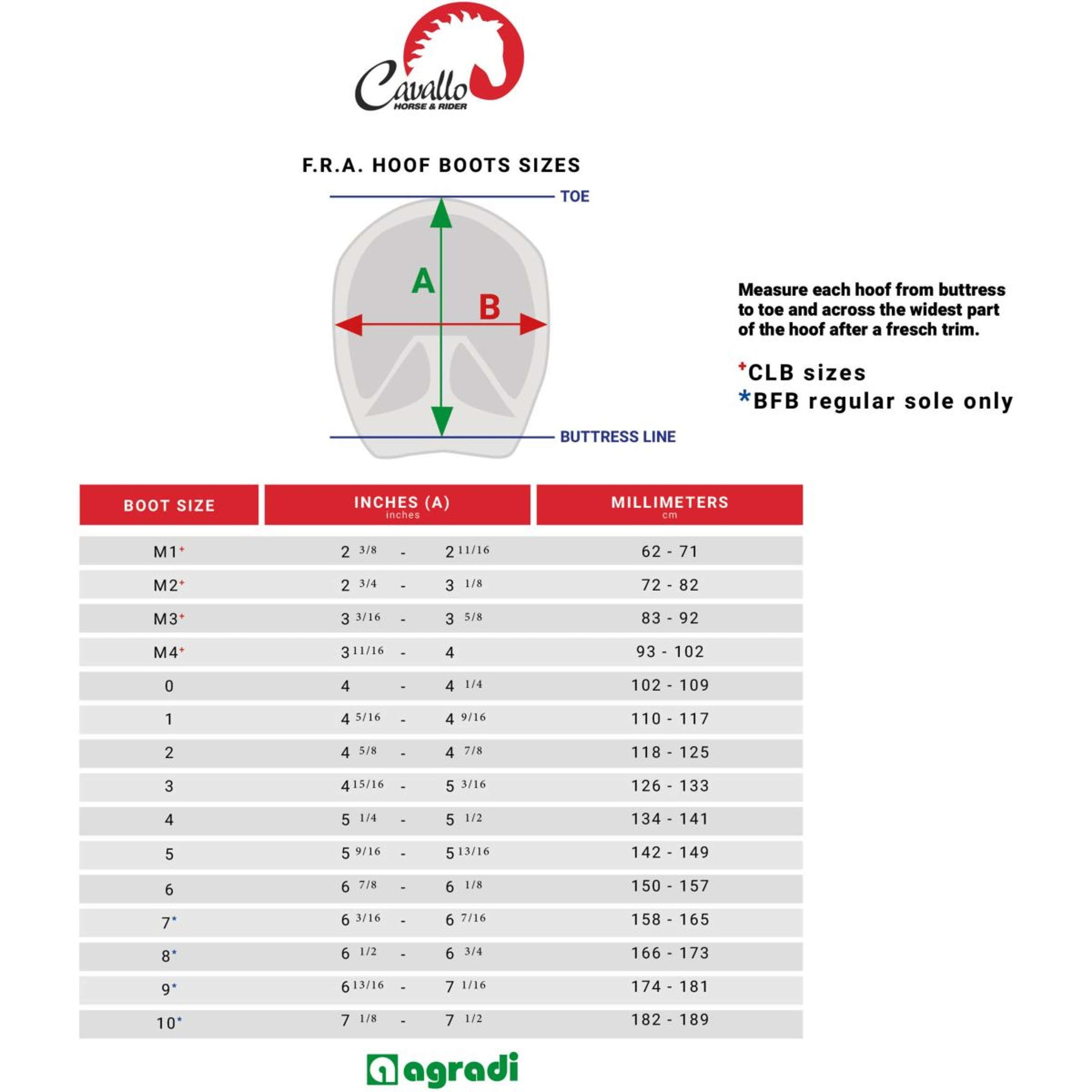 F.R.A. Cavallo Horse & Rider Chaussures pour Cheval BFB Noir