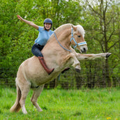 Hoefwijzer Licol Bleu clair