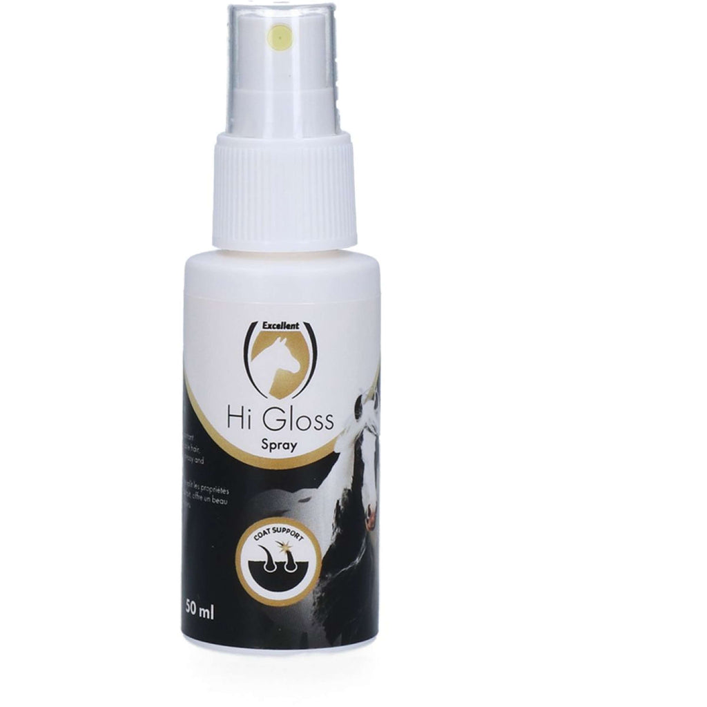 Excellent Spray Hi Gloss