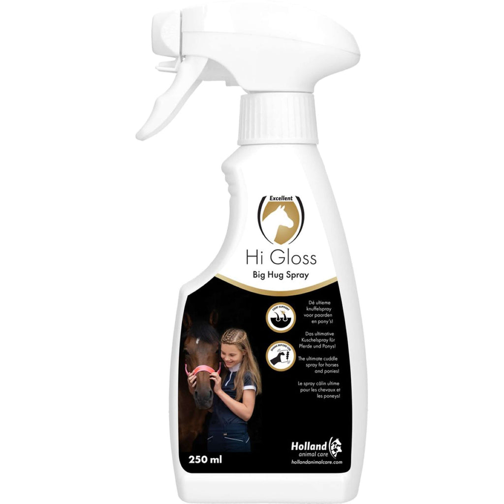 Excellent Spray Hi Gloss Big Hug