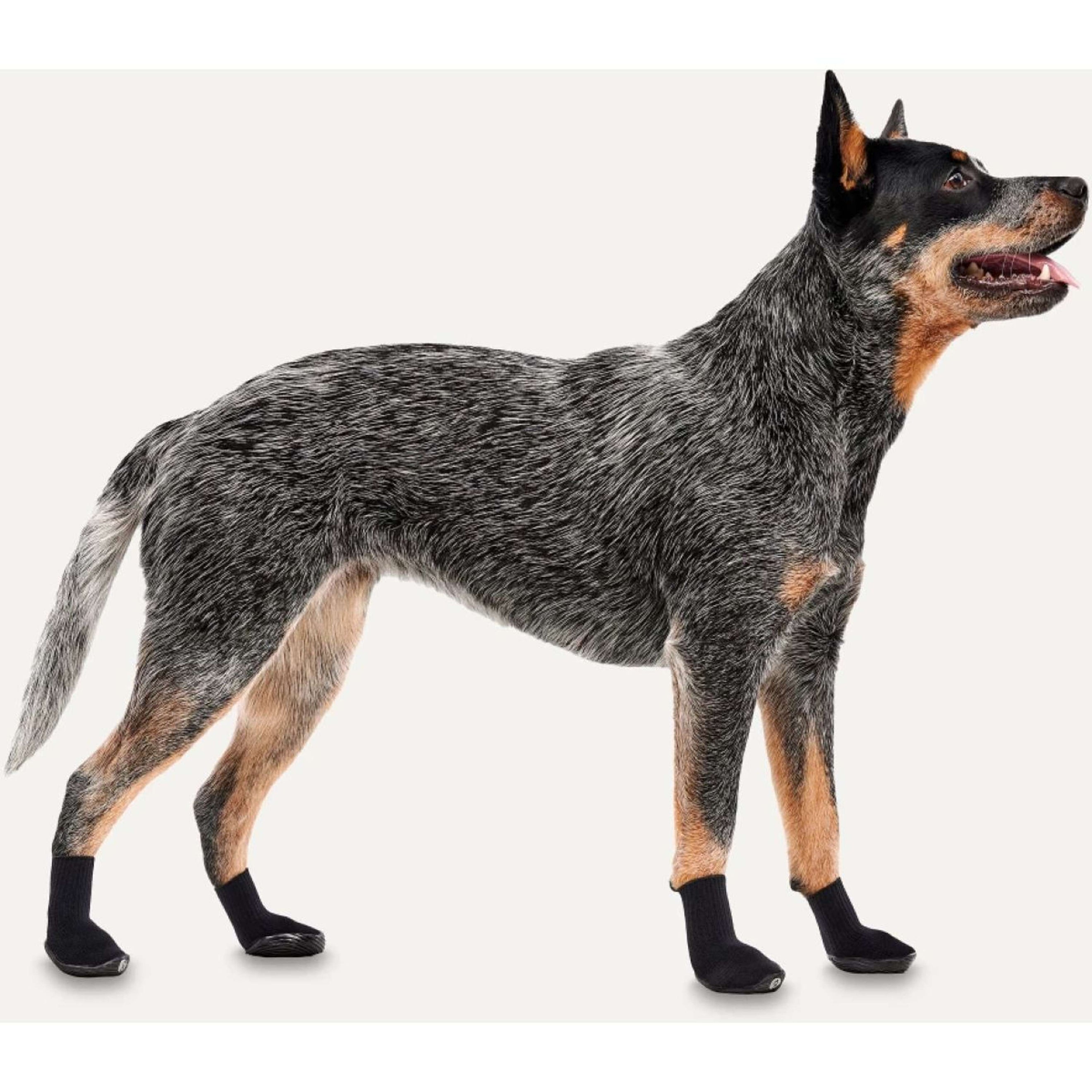 Goo-eez Regular Dog Boots 2-pack Noir