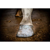 Excellent Hoof Polish Hi Gloss Glitter Argent