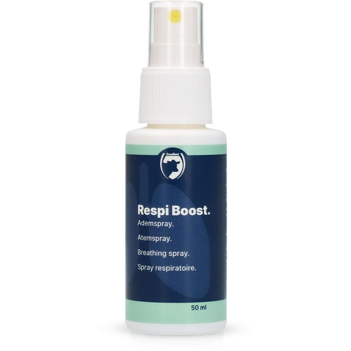 Excellent Spray Respiratoire Respi Boost