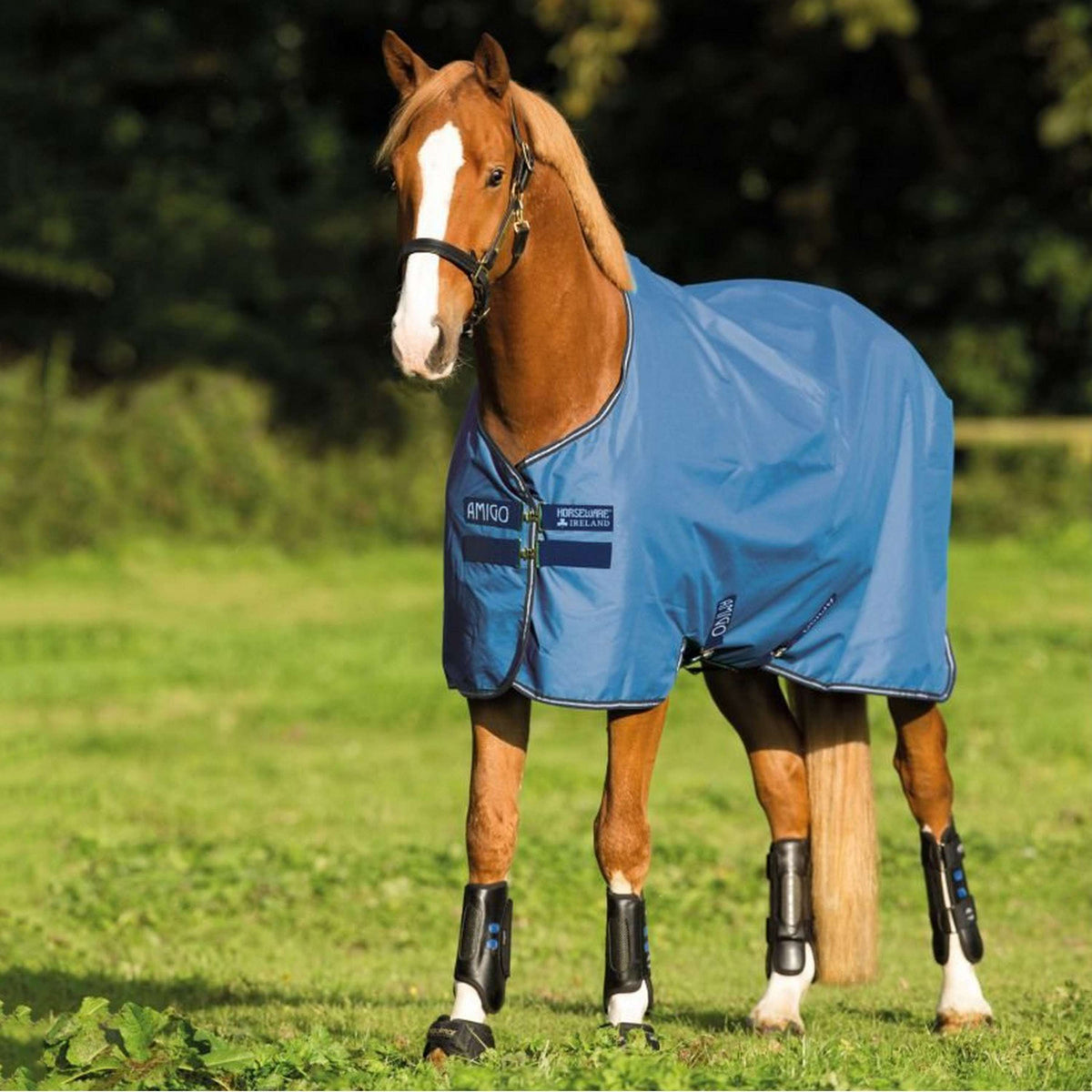 Amigo Turnout Lite Hero 900 50g Colonie bleue/Blaubell