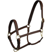 HORKA Licol Stockholm Leather Marron/Or