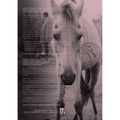 Horse and Hunk Calendrier 2024