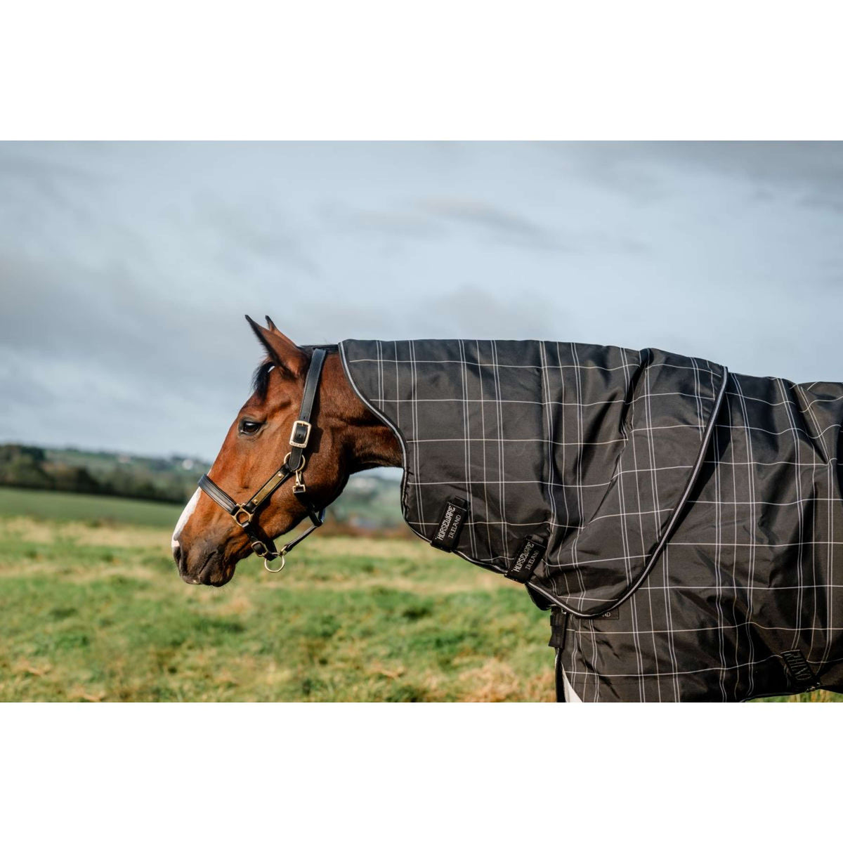 Rhino Plus Turnout Bundle 0g + 200g Black Check/Noir/Blanc