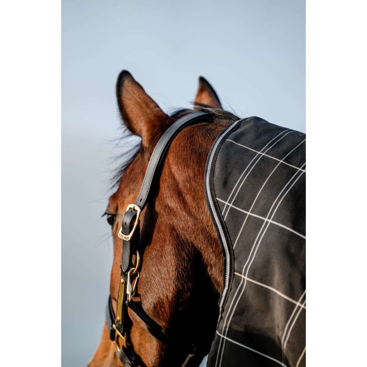 Rhino Plus Turnout Bundle 0g + 200g Black Check/Noir/Blanc