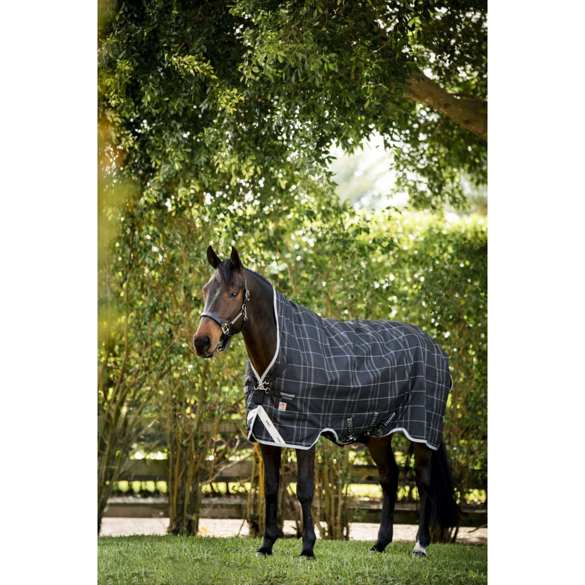 Rhino Wug Turnout Medium Varilayer 250g Black/Grey/White Check/Gray