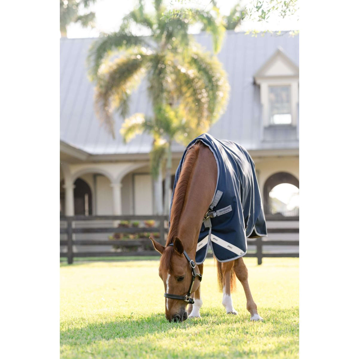 Amigo Couverture Turnout Bravo 100g Navy/Titanium Grey