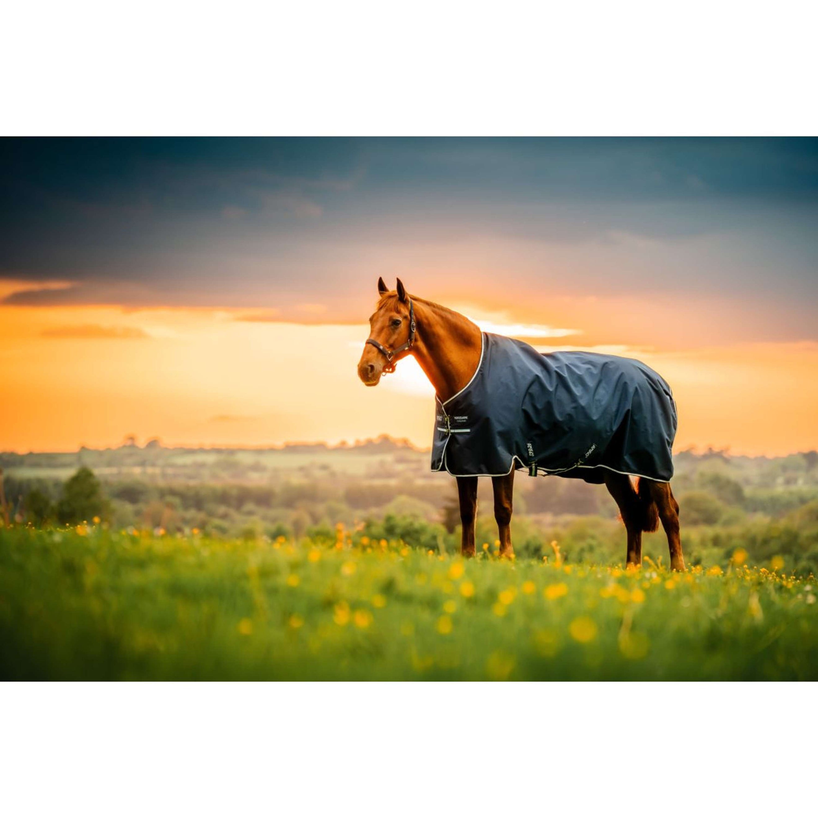 Amigo Ripstop 900D Pony 200g Witney Navy