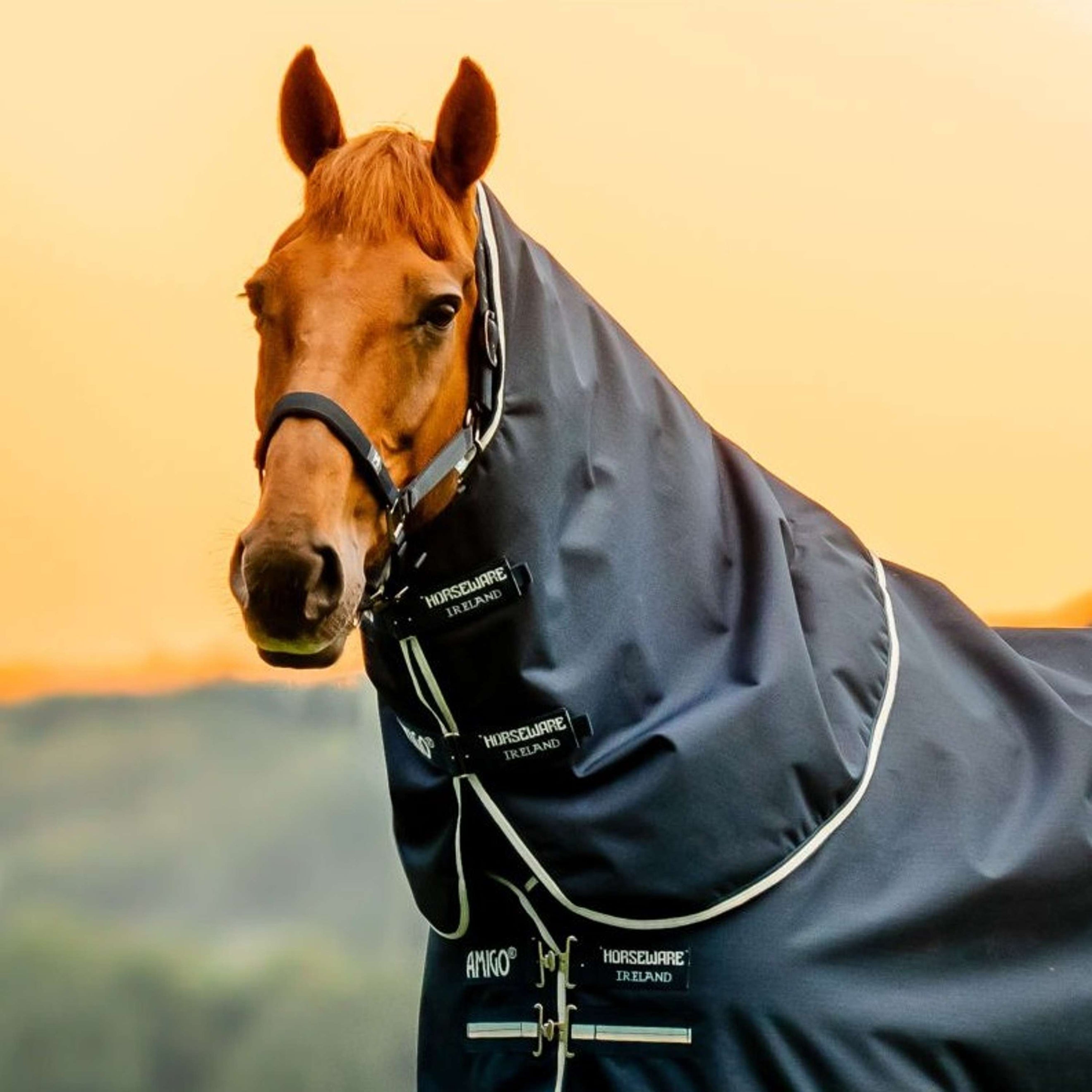 Amigo Couvre-Cou Ripstop 900D 150g Witney Navy Amigo Couvre-Cou Ripstop 900D 150g Witney Navy