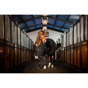 Rambo Couverture d'Écurie 100g Black/Thunderstorm Grey/Silver