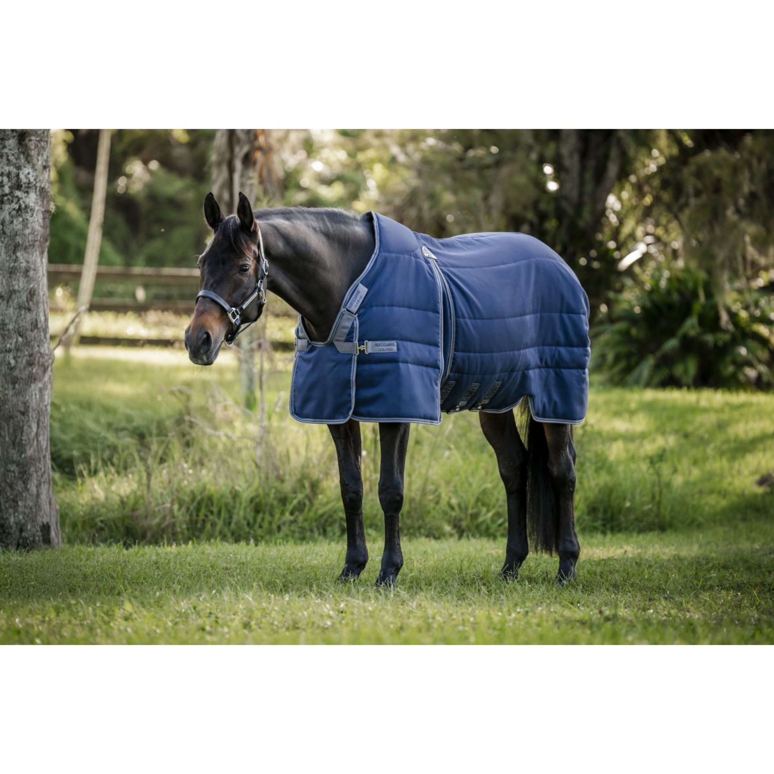 Couverture d'écurie pour cheval QHP Start 300 g - bleu foncé - 175 cm Couverture d'écurie pour cheval QHP Start 300 g - bleu foncé - 175 cm