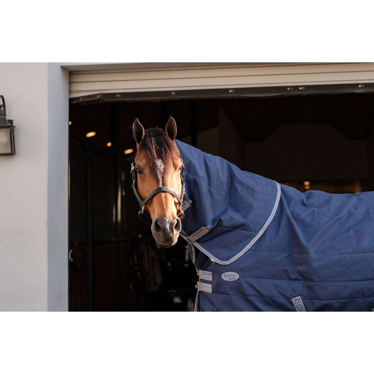 Rhino Couvre-Cou Stable 100g Navy/Titanium Grey/Classic Blue