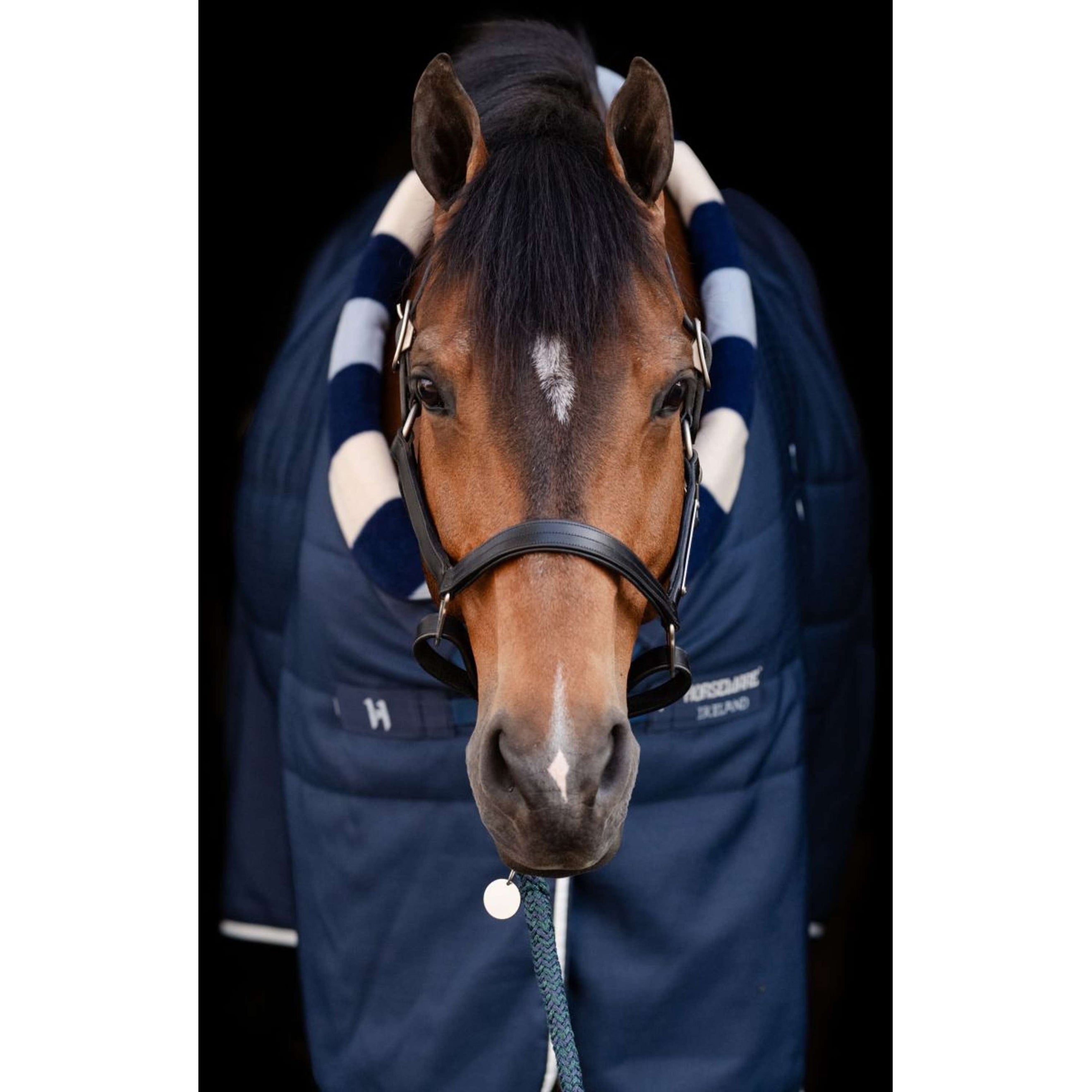 Horseware Cosy Stable Newmarket 100g Witney Navy