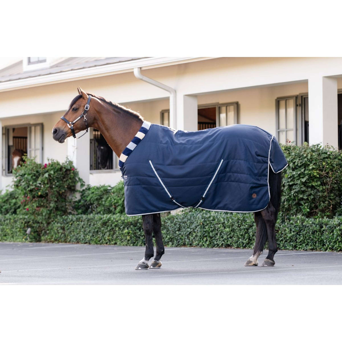 Horseware Cosy Stable Newmarket 100g Witney Navy