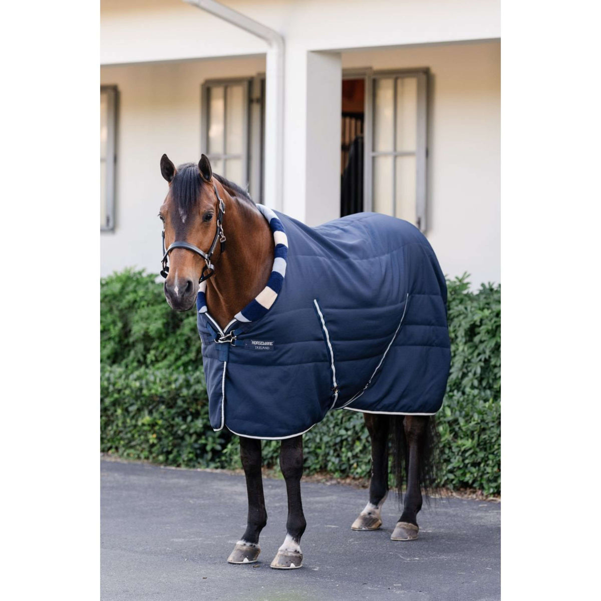 Horseware Cosy Stable Newmarket 100g Witney Navy