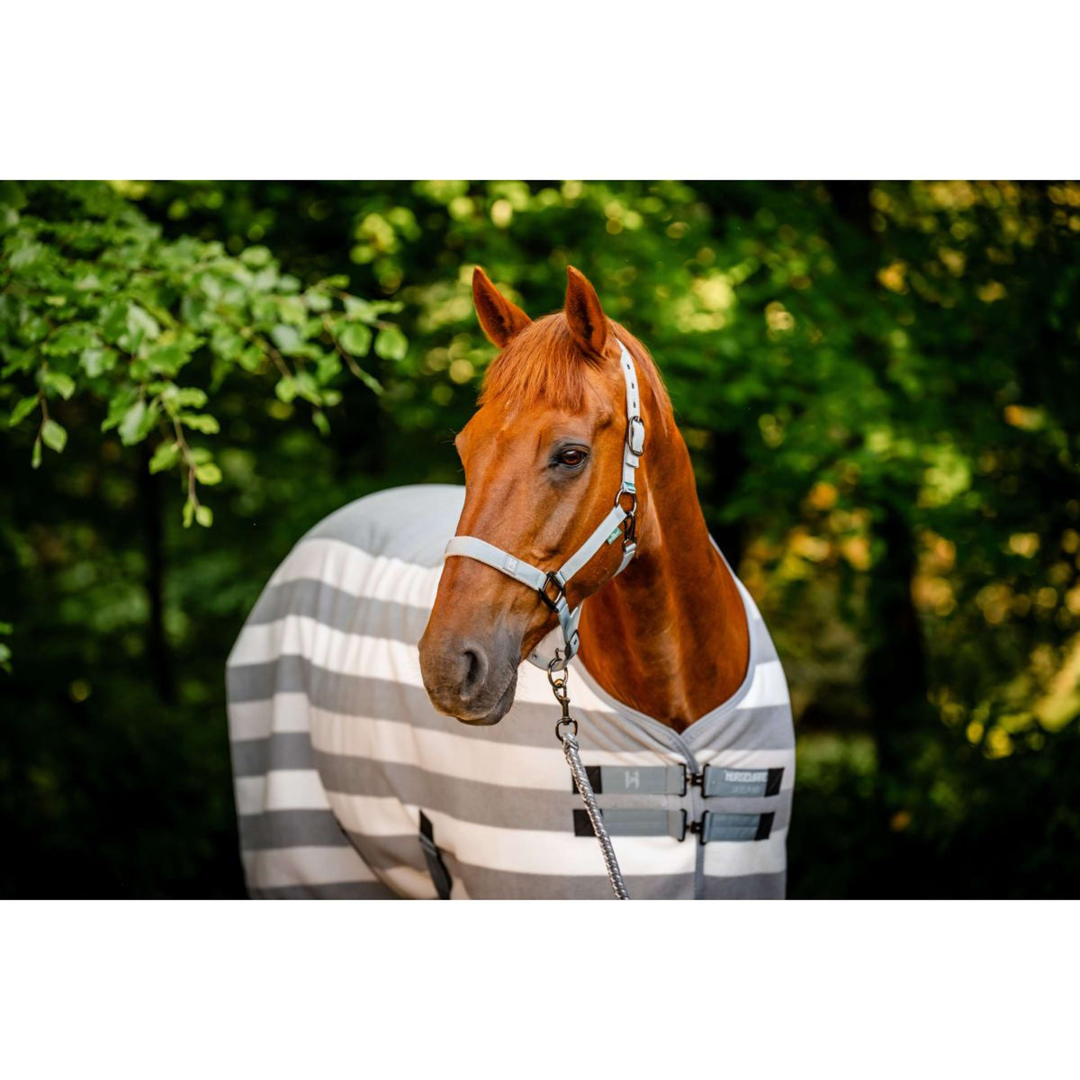 Horseware Newmarket Exercise Sheet Horseware Newmarket Exercise Sheet