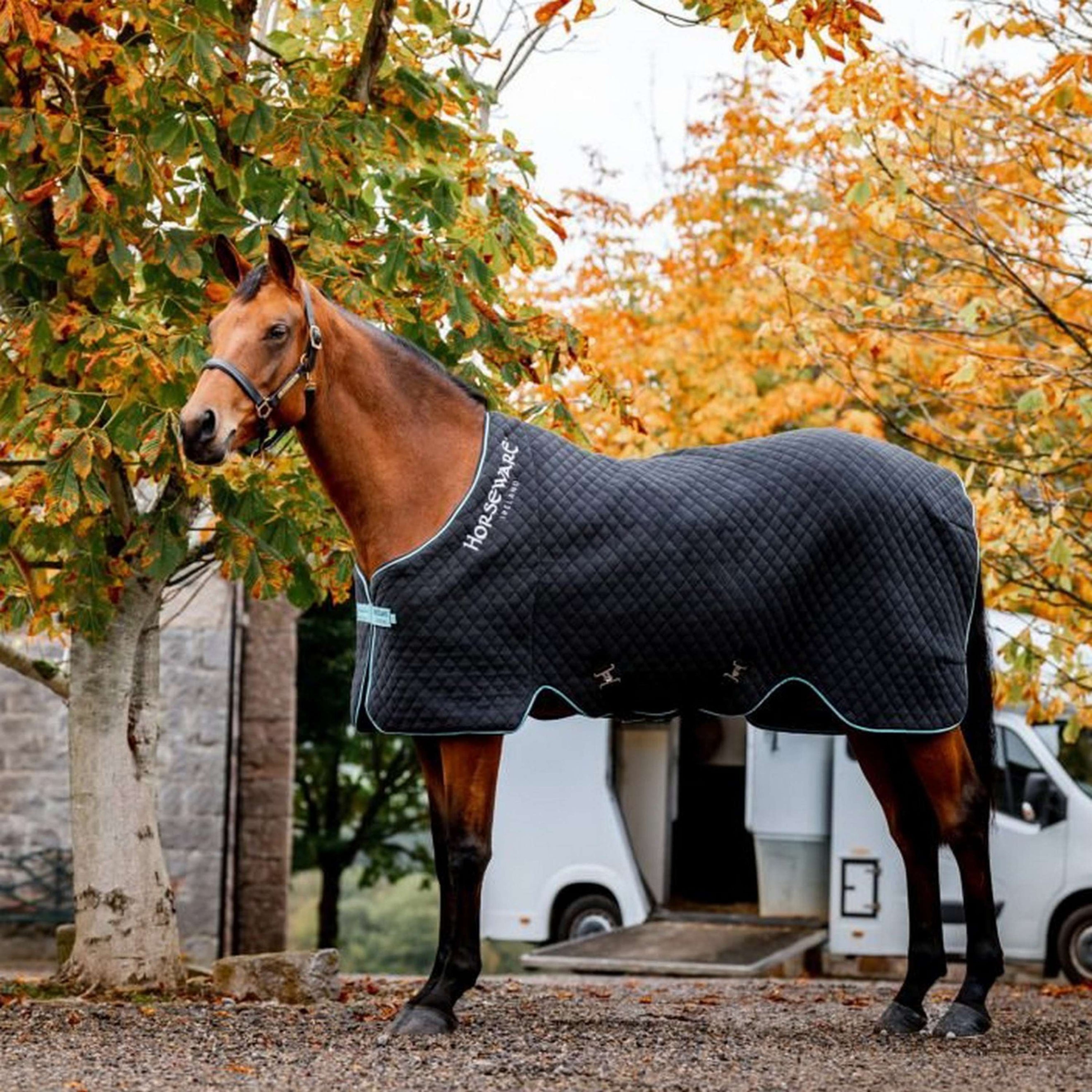 Horseware Couverture Rafraîchissante Autumn Noir/Aqua