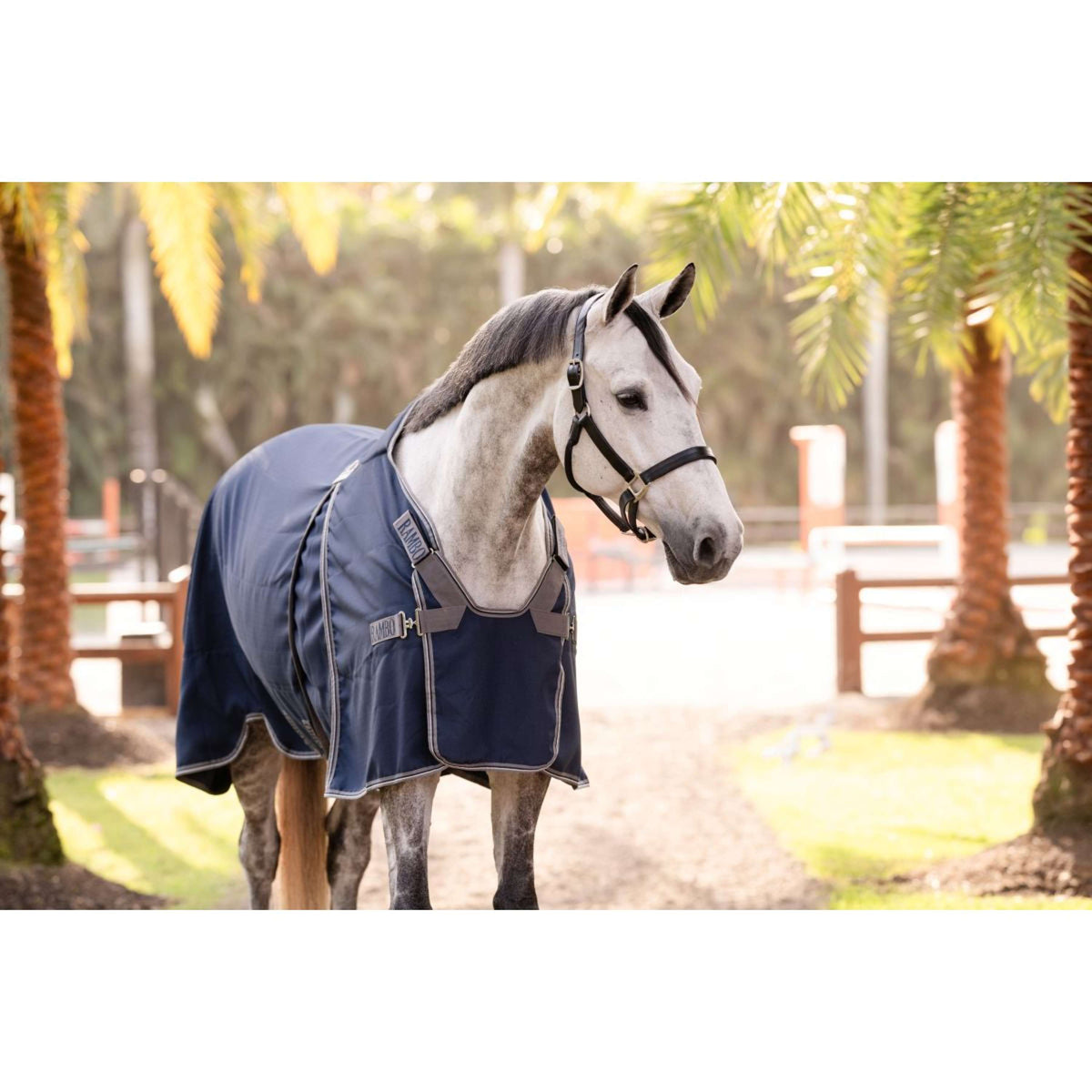 Rambo Optimo Couverture d'Écurie New Navy/Thunderstorm Grey/Silver