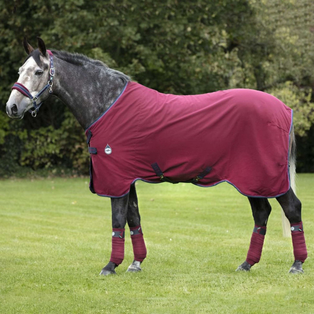 Rambo Helix Stable Sheet Disc Bordeaux/Sarcelle/Marine