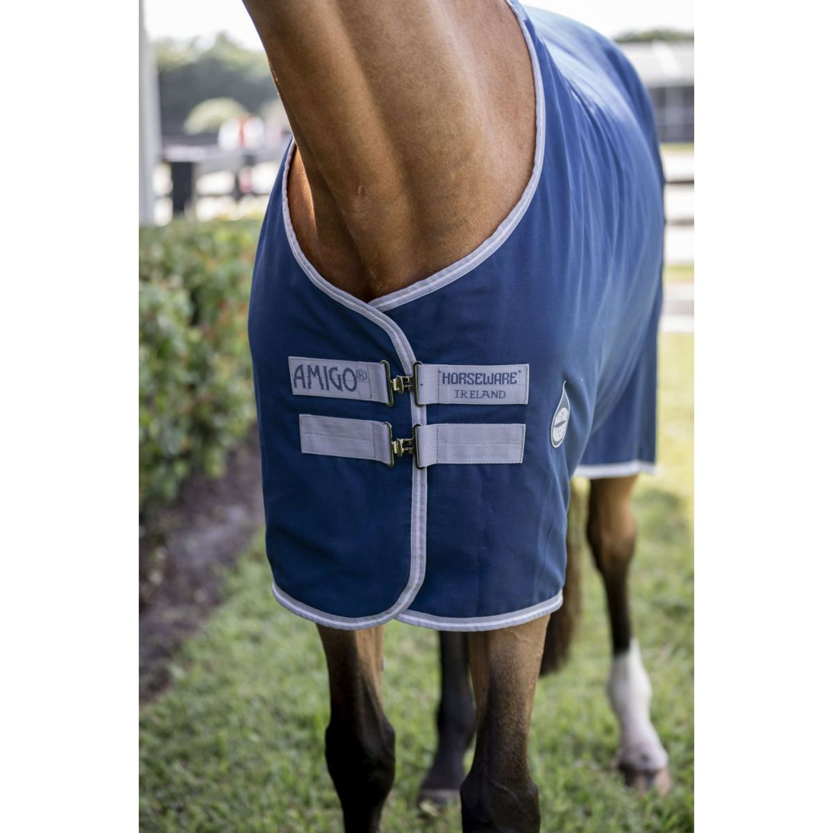 Amigo Couverture d'Écurie Navy/Titanium Grey/Silver
