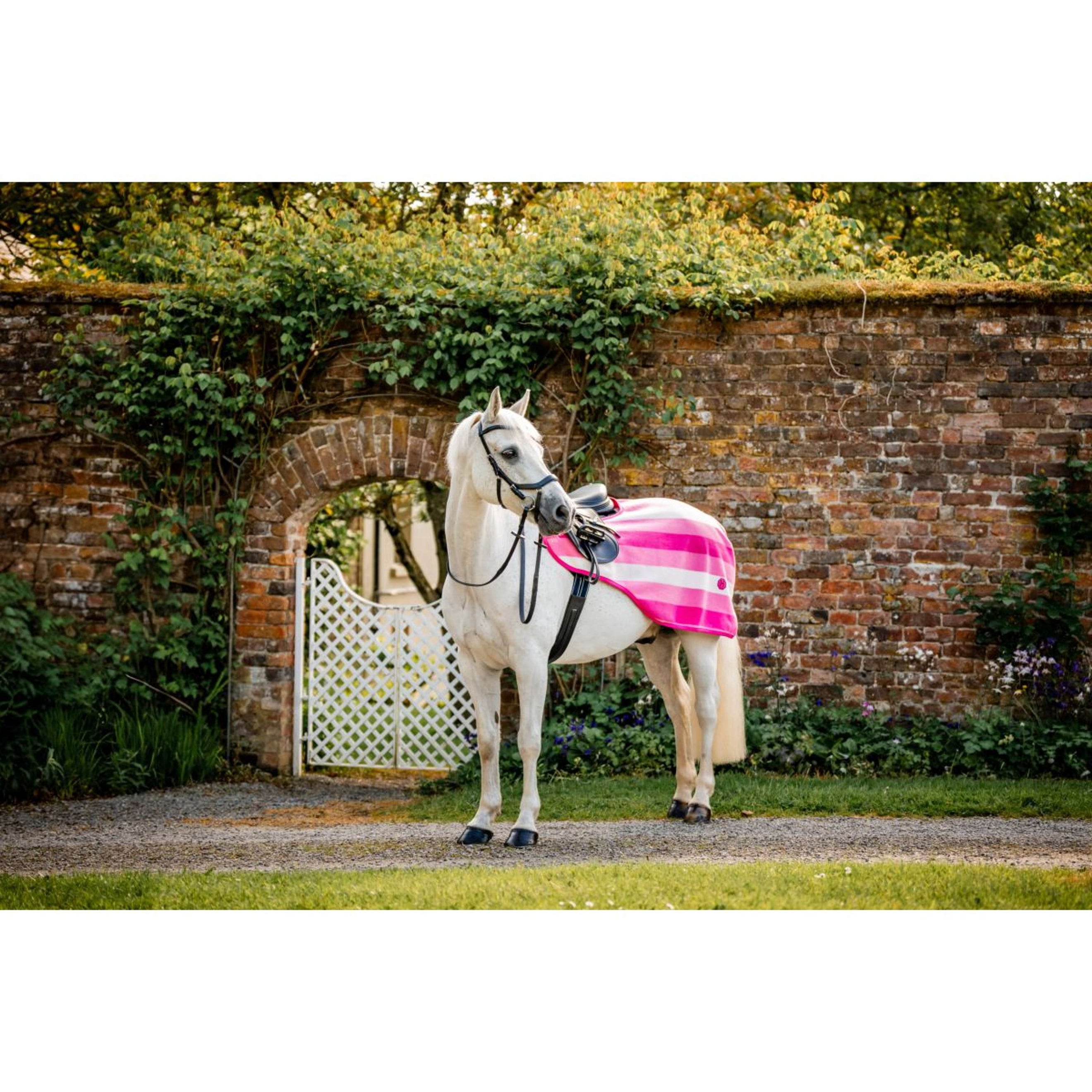Horseware Couvre-reins Newmarket Witney Pink Horseware Couvre-reins Newmarket Witney Pink