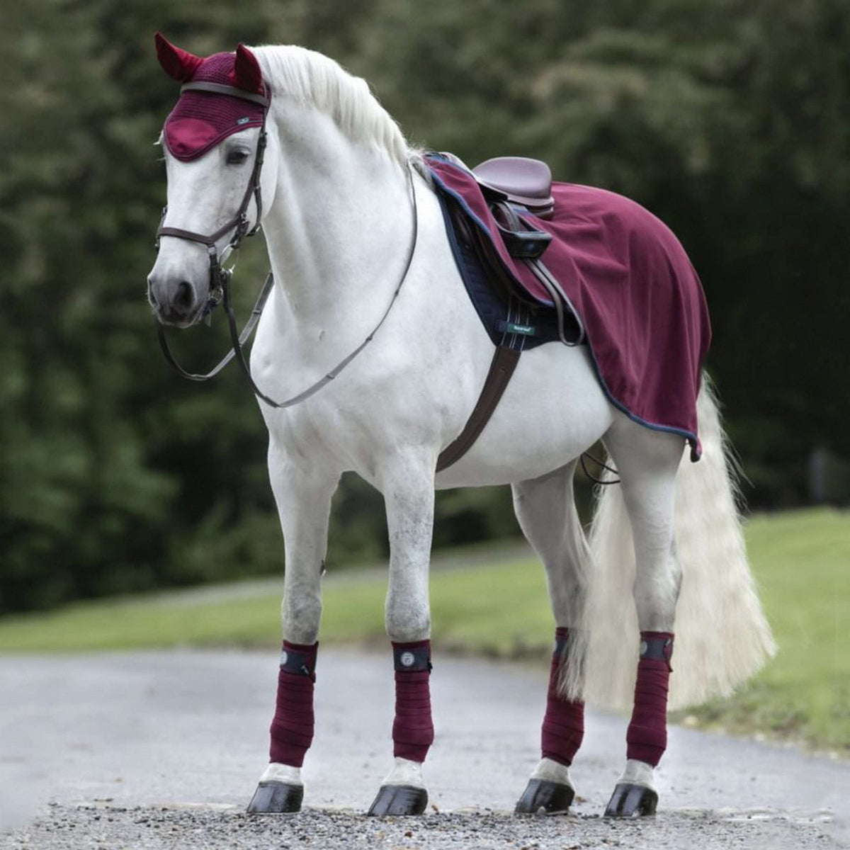 Rambo Chemise de Concours Bordeaux/Sarcelle/Marine