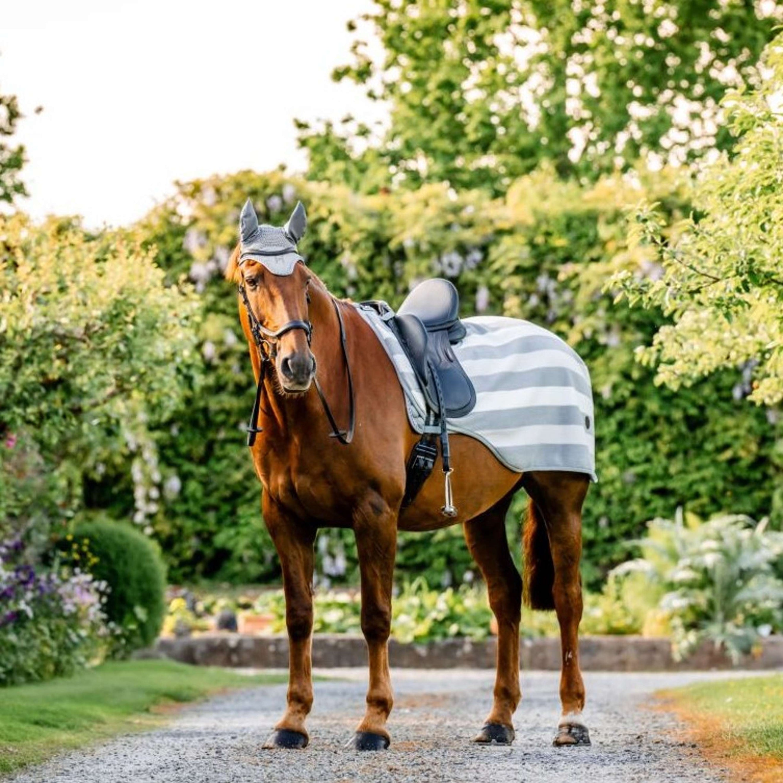 Horseware Couvre-reins Newmarket Witney Charcoal