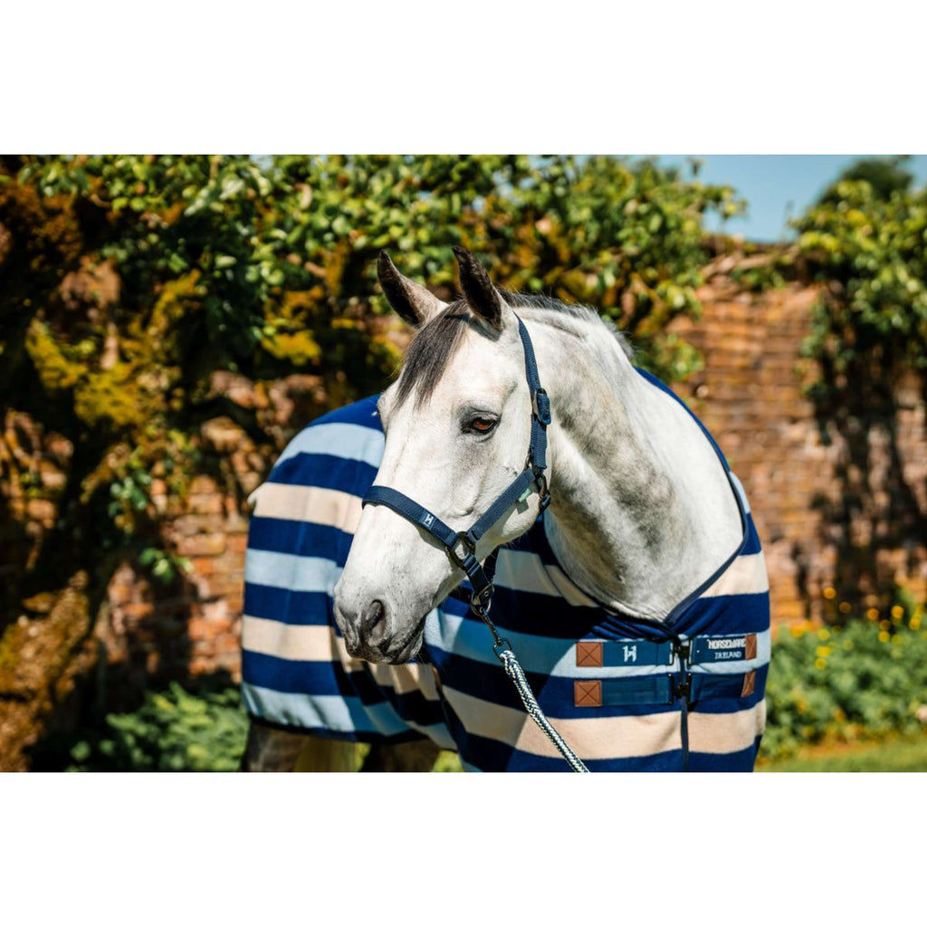 Amigo Licol et Longe Newmarket Witney Navy