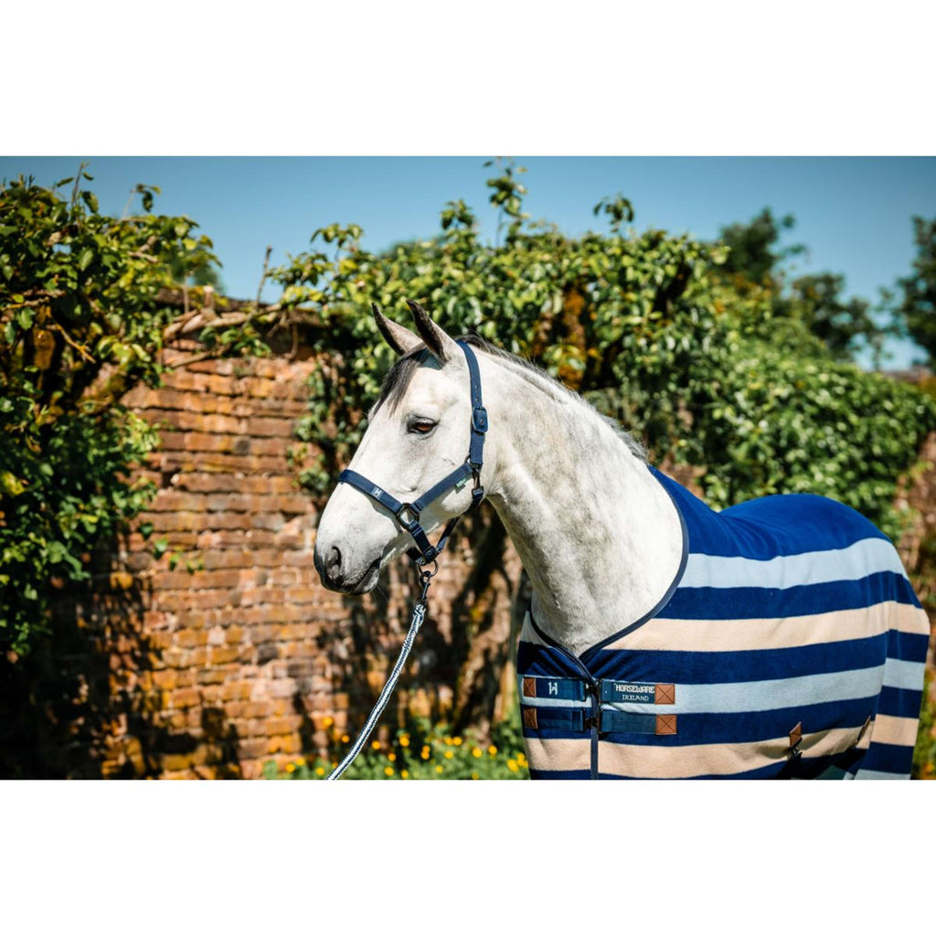 Amigo Licol et Longe Newmarket Witney Navy