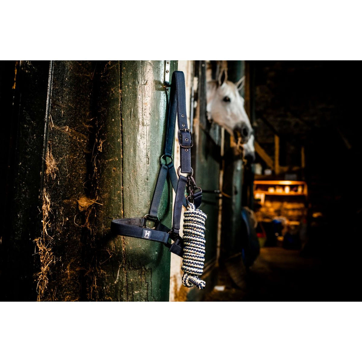 Amigo Licols et Longes Newmarket Witney Navy