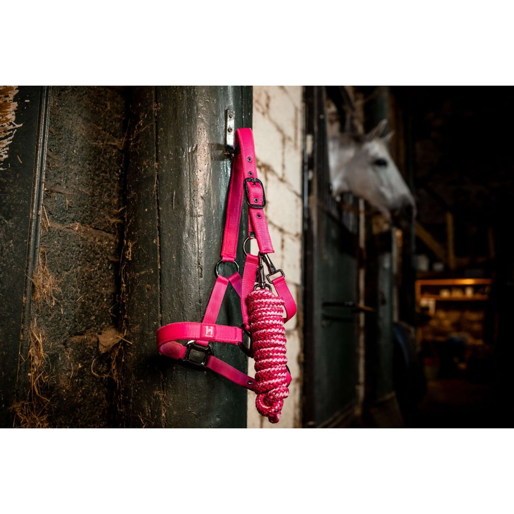 Amigo Licol et Longe Newmarket Witney Pink