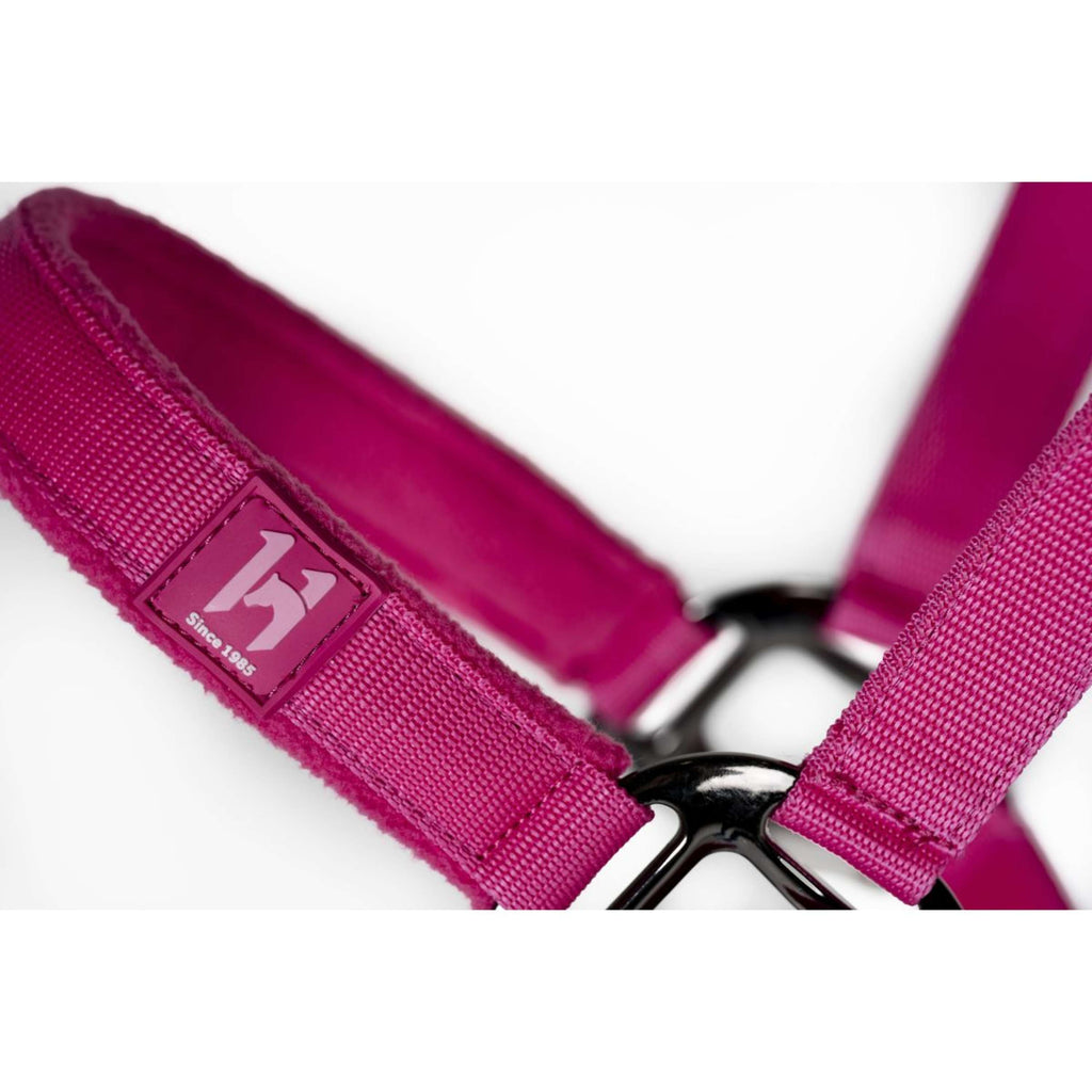 Amigo Licol et Longe Newmarket Witney Pink