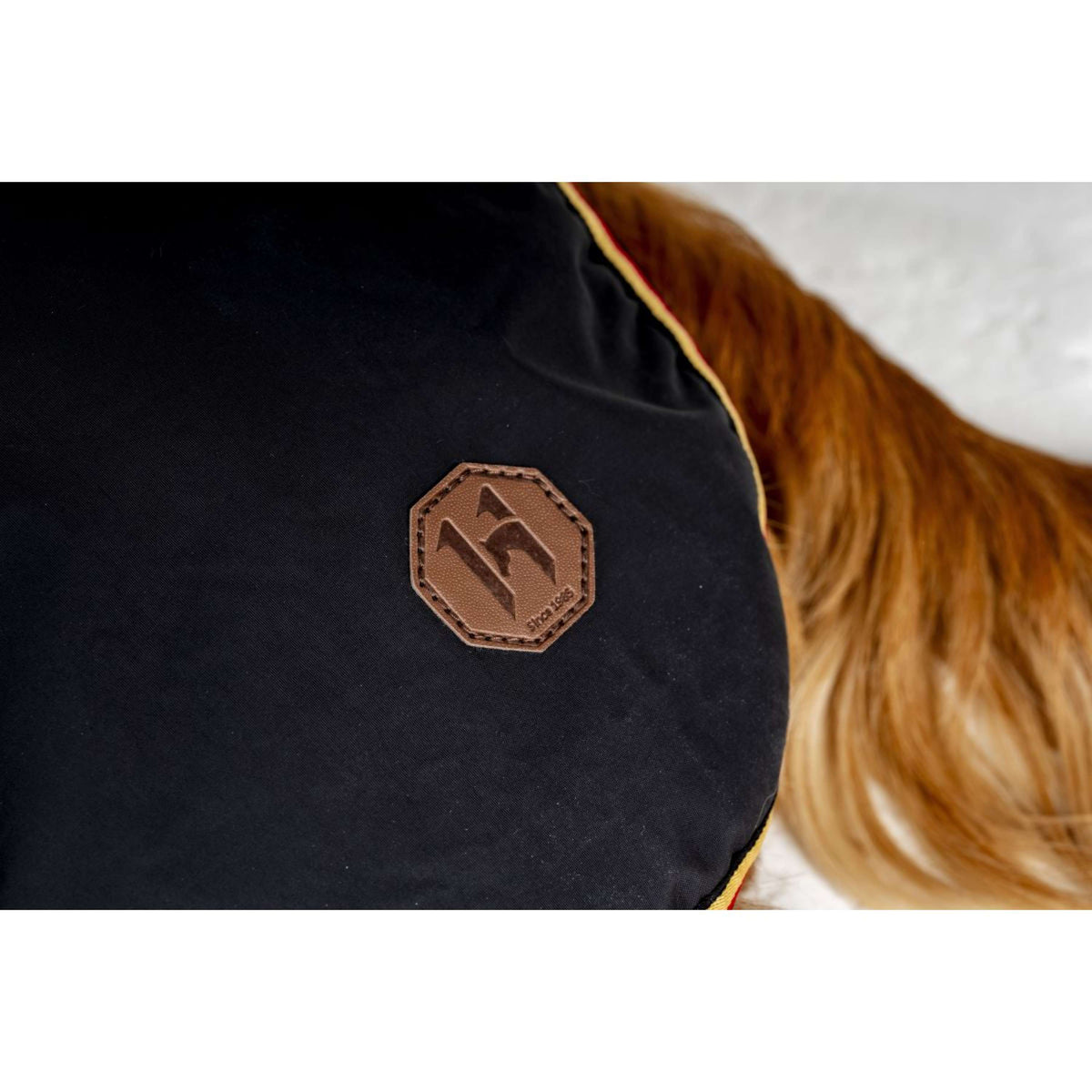 Horseware Couverture pour Chien Newmarket Witney Gold