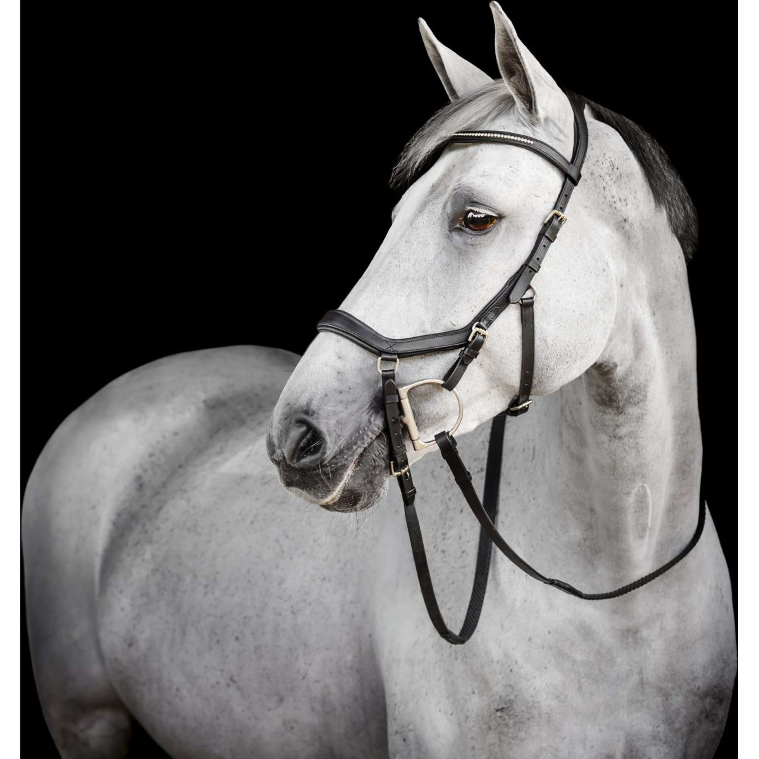 Horseware Micklem Diamante Competition Bridle Noir