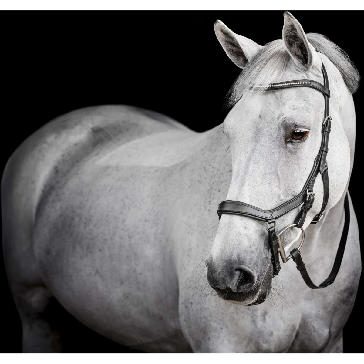 Horseware Micklem Diamante Competition Bridle Noir