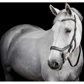 Horseware Micklem Diamante Competition Bridle Noir