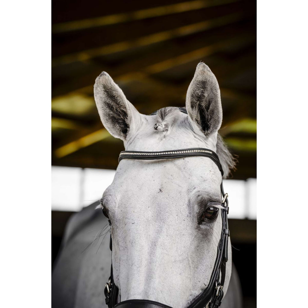 Horseware Micklem Diamante Competition Bridle Noir