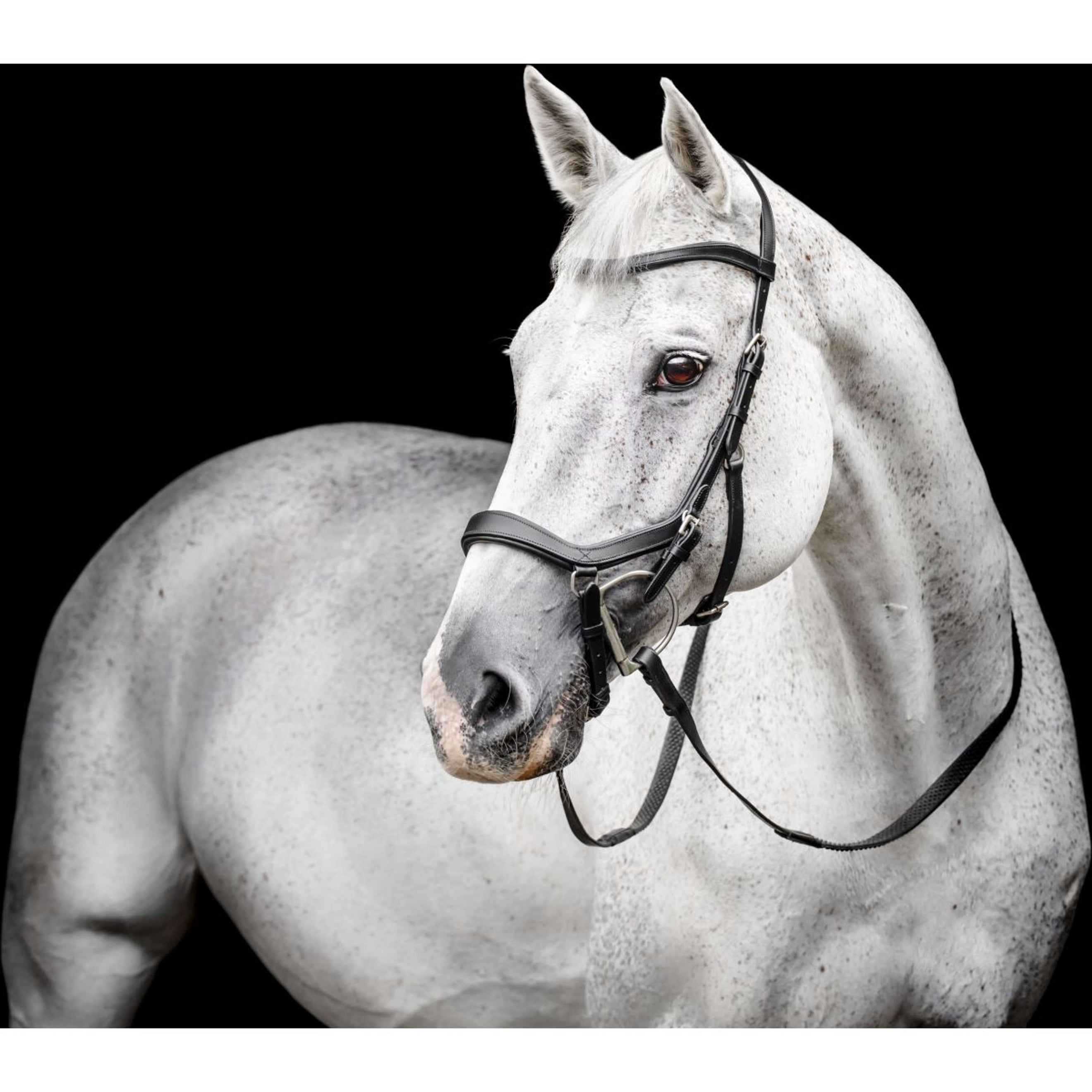 Horseware Micklem Competition Bridle Noir Horseware Micklem Competition Bridle Noir