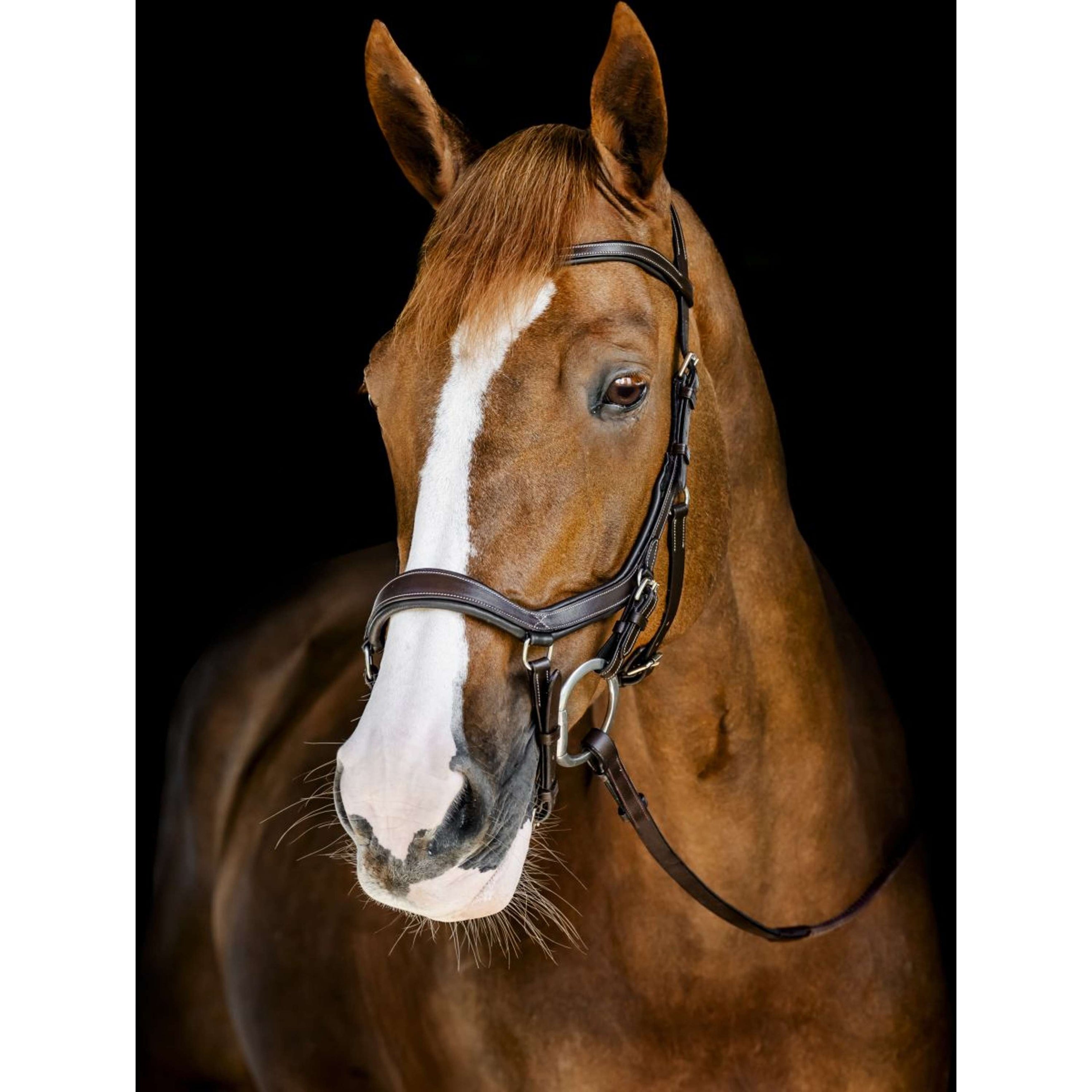 Horseware Micklem Competition Bridle Dark Havana Horseware Micklem Competition Bridle Dark Havana