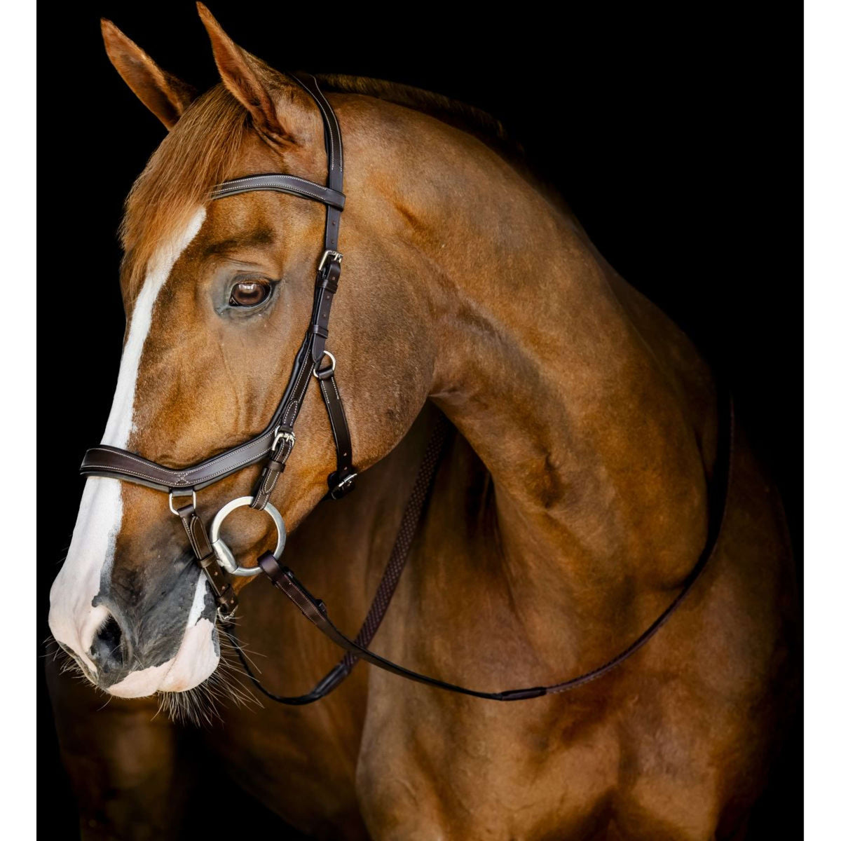 Horseware Micklem Competition Bridle Dark Havana