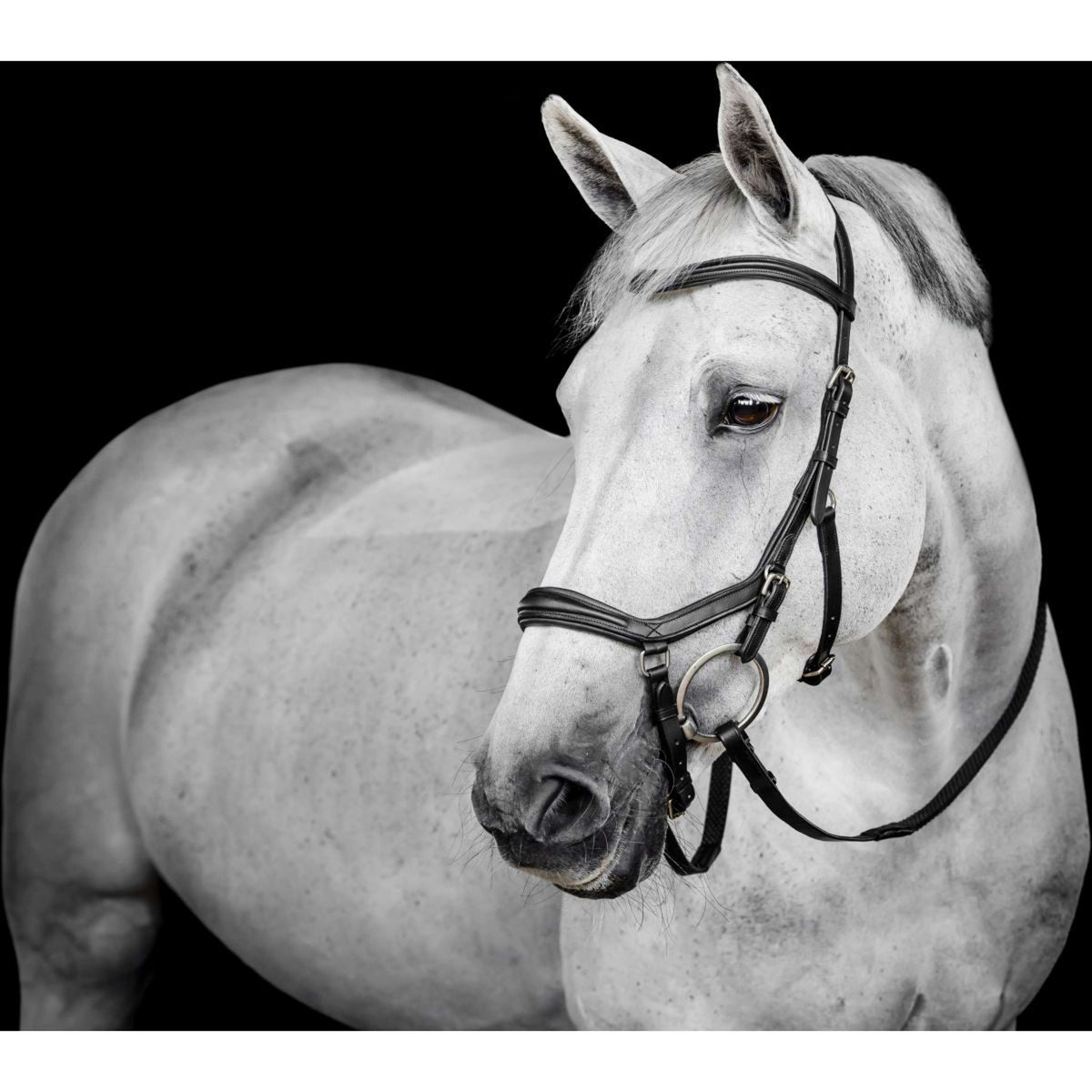 Horseware Micklem Deluxe Competition Bridle Noir