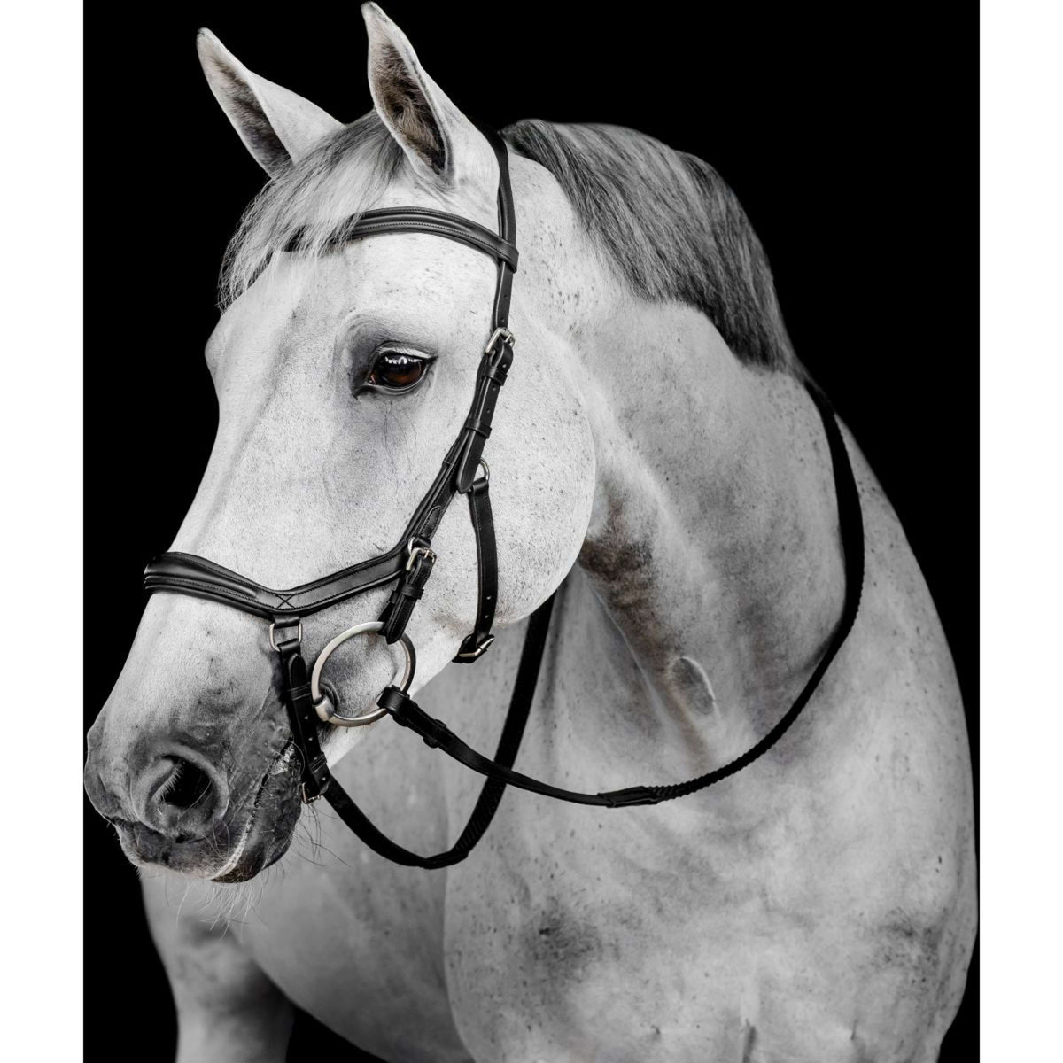 Horseware Micklem Deluxe Competition Bridle Noir